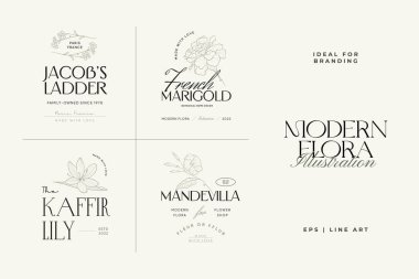 Klasik Çiçek Vektör İşaretleri veya Logo Şablonları. Klasik tipografi ile Retro Floral Illustration. Kadın logosu. Çiçekçi, fotoğrafçı, moda blogcusu, tasarım stüdyosu için Modern Logo Şablonu.