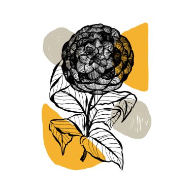 Modern abstract women. Minimalism concept. Female body, fashion. Matisse style. . Contemporary silhouette of woman. Hand drawn trendy vector posters, illustrations for print.