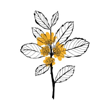 Modern abstract women. Minimalism concept. Female body, fashion. Matisse style. . Contemporary silhouette of woman. Hand drawn trendy vector posters, illustrations for print.