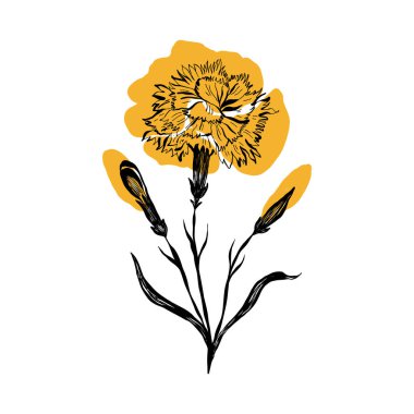 Modern abstract women. Minimalism concept. Female body, fashion. Matisse style. . Contemporary silhouette of woman. Hand drawn trendy vector posters, illustrations for print.