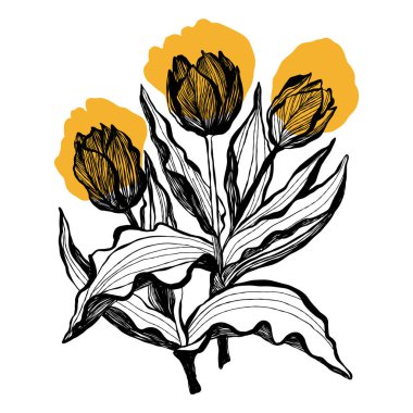 Modern abstract women. Minimalism concept. Female body, fashion. Matisse style. . Contemporary silhouette of woman. Hand drawn trendy vector posters, illustrations for print.