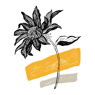 Modern abstract women. Minimalism concept. Female body, fashion. Matisse style. . Contemporary silhouette of woman. Hand drawn trendy vector posters, illustrations for print.