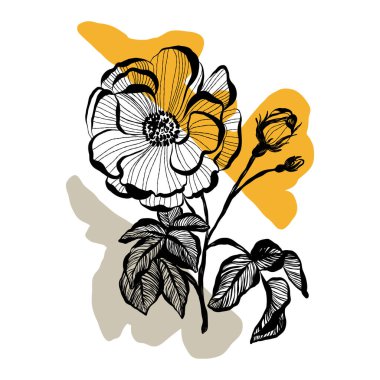 Modern abstract women. Minimalism concept. Female body, fashion. Matisse style. . Contemporary silhouette of woman. Hand drawn trendy vector posters, illustrations for print.