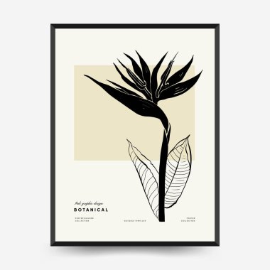 Abstract floral posters template. Modern Botanical trendy black style. Vintage flowers. Ink wall  art.