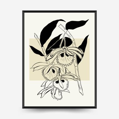 Abstract floral posters template. Modern Botanical trendy black style. Vintage flowers. Ink wall  art.