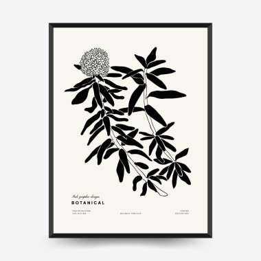 Abstract floral posters template. Modern Botanical trendy black style. Vintage flowers. Ink wall  art.