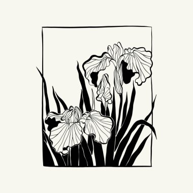 Flowers, Botanica illustration. Black ink, line, doodle style. 