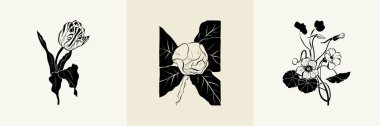 Flowers, Botanica illustration collection. Black ink, line, doodle style. 
