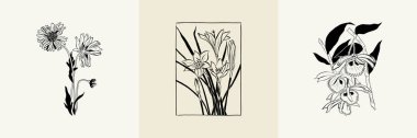 Flowers, Botanica illustration collection. Black ink, line, doodle style. 
