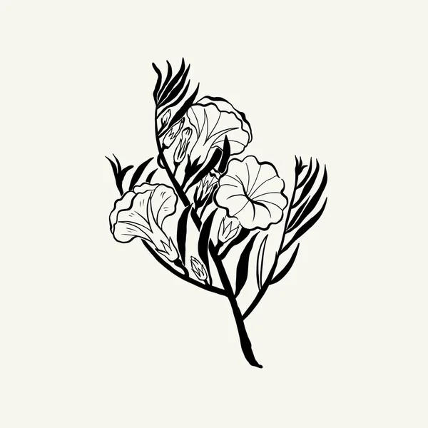 Flowers Botanica Illustration Black Ink Line Doodle Style — Stockový vektor