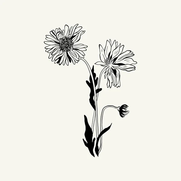 Flowers Botanica Illustration Black Ink Line Doodle Style — Vettoriale Stock