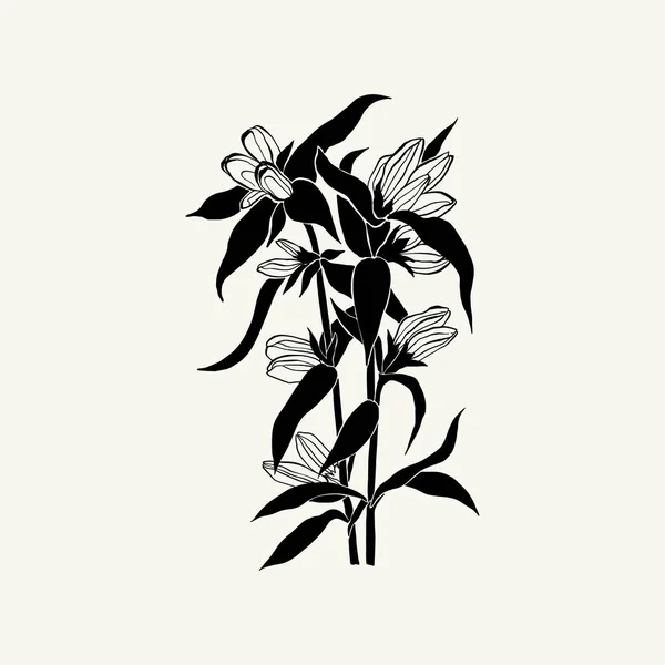 Flowers Botanica Illustration Black Ink Line Doodle Style — стоковий вектор