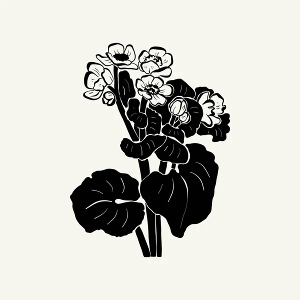 Flowers Botanica Illustration Black Ink Line Doodle Style — ストックベクタ