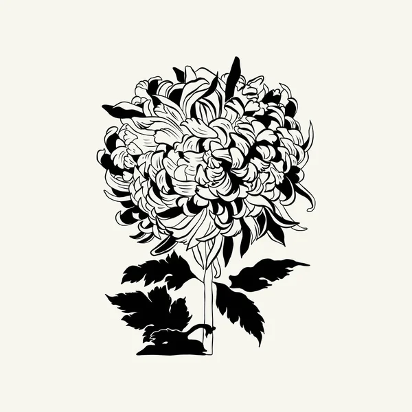 Flowers Botanica Illustration Black Ink Line Doodle Style — Διανυσματικό Αρχείο