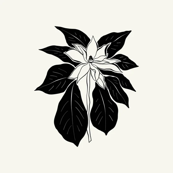 Flowers Botanica Illustration Black Ink Line Doodle Style — Vettoriale Stock