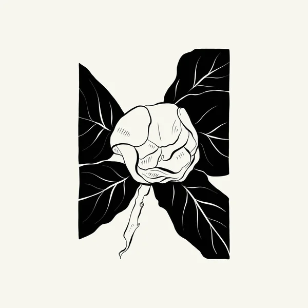Flowers Botanica Illustration Black Ink Line Doodle Style — Stock vektor