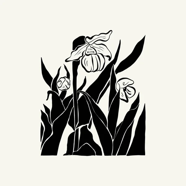 Flowers Botanica Illustration Black Ink Line Doodle Style — Stock vektor