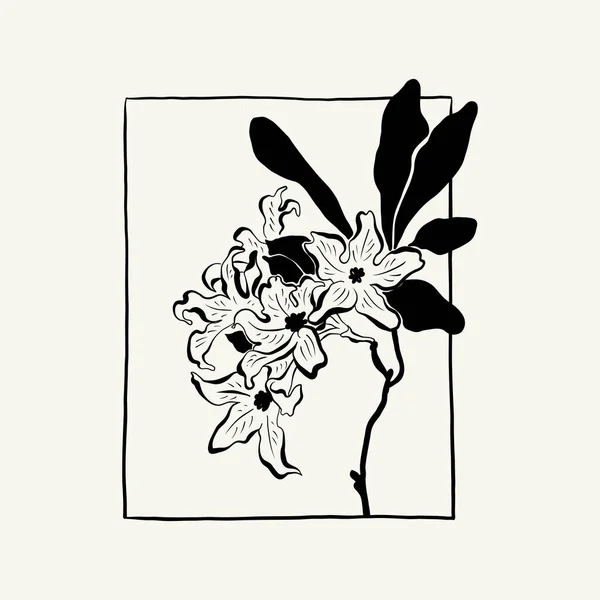 Flowers Botanica Illustration Black Ink Line Doodle Style — Διανυσματικό Αρχείο