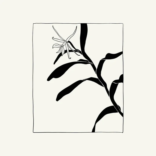 Flowers Botanica Illustration Black Ink Line Doodle Style — Stock vektor