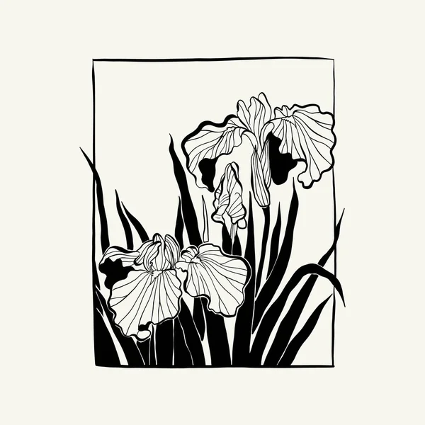 Flowers Botanica Illustration Black Ink Line Doodle Style — Vetor de Stock