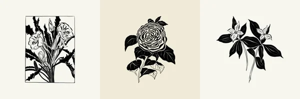 Flowers Botanica Illustration Collection Black Ink Line Doodle Style — Διανυσματικό Αρχείο