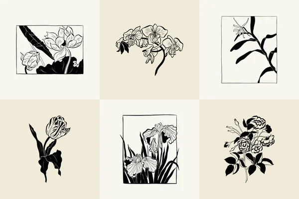 Flowers Botanica Illustration Collection Black Ink Line Doodle Style — Wektor stockowy
