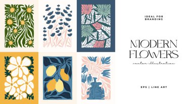 Çiçek soyut elementler. Botanik kompozisyonu. Modern trend Matisse minimal tarzı. Çiçek posteri, davet. Tebrik kartı veya davet tasarımı için vektör düzenlemeleri
