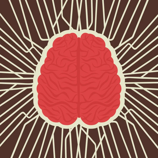 Connection of human brain vector — Stock Vector