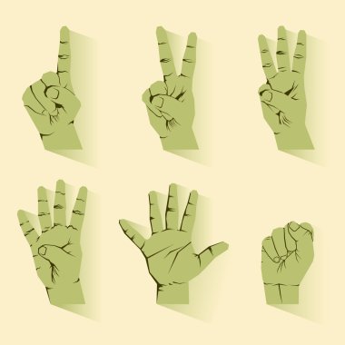 el parmak sayma poz beş vektör