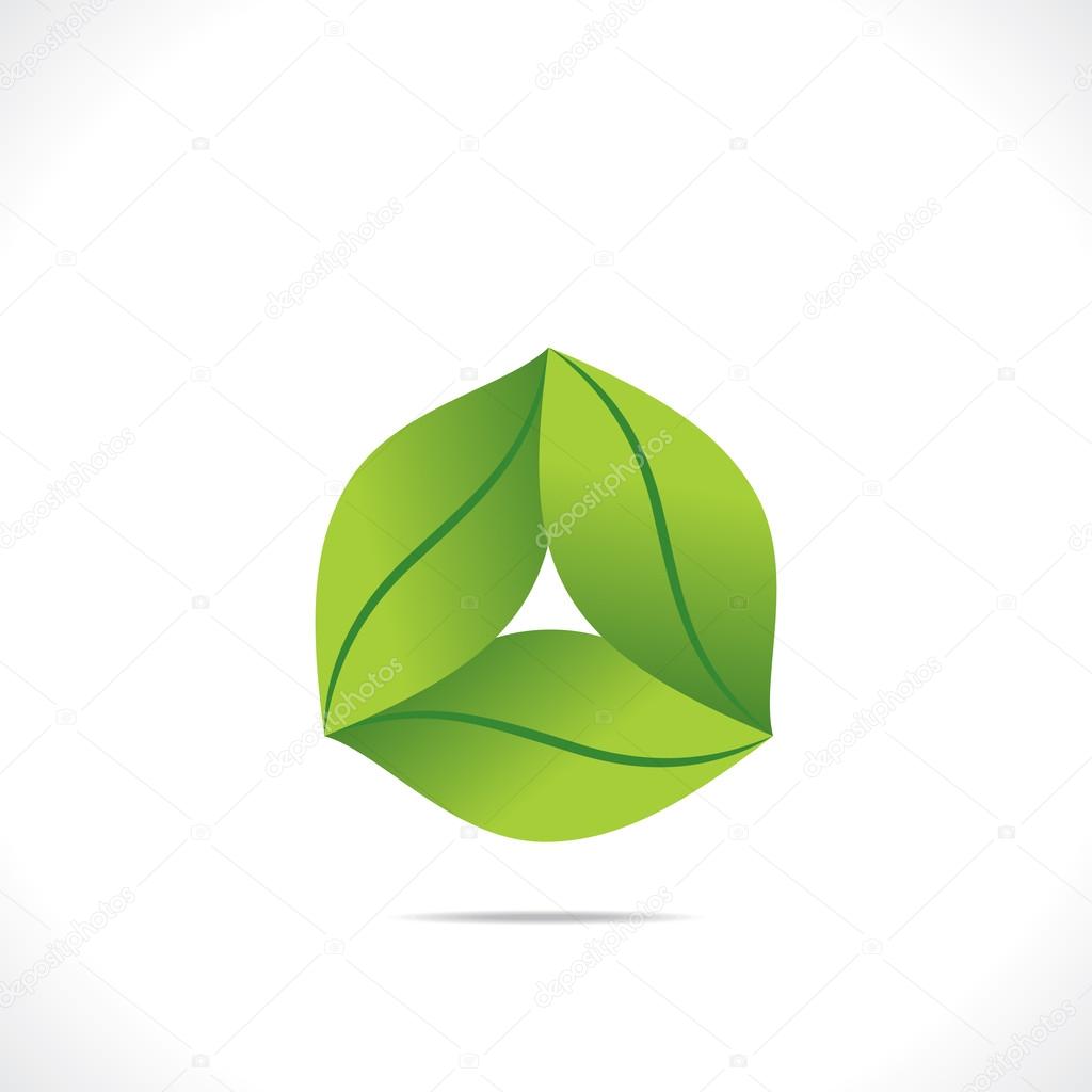 Creative green leaf icon design vector