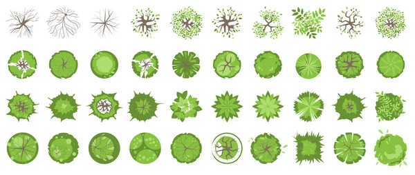 Manzara tasarımı için ağaçlar ve bitkiler en üstte. Mimari harita için ikon renkli ağaçlar ve çimenler, plan. Yeşil alan. Element beyazda izole edildi. Vektör çizimi. Tasarım projesi için Kit