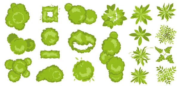 Trees and bushes top view for architectural and landscape design. Set of colored trees and plants for project, map, plan. Graphic, isolated on white. Vector Elements for design project of Green spaces