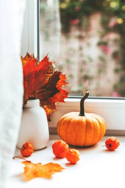 Sonbahar havası. Samimi bir evde hasadı kutluyoruz. Durgun hayat 