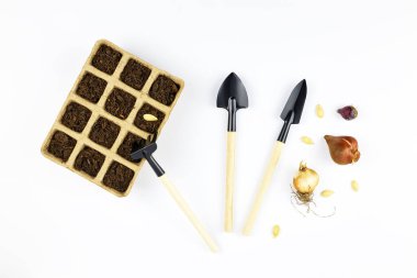 Evde bahçıvanlık. Tohumlar için tırmık ve kürek. Evde sebze ve ot yetiştiriyorum. Metin için alanı olan beyaz arkaplan üzerinde düz yatıyordu