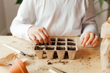 Çekirdeklere fidanlar için tohum eken bir kızın en iyi görüntüsü. Bahçe malzemeleri masada. Çocuklar bahçe işlerini öğrenir. Bahar hobileri.