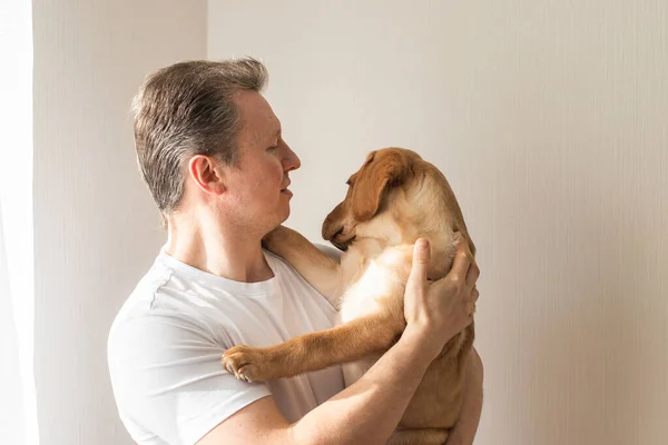 Portrait Man Labrador Retriever Puppy His Arms Caring Friendship People — Photo