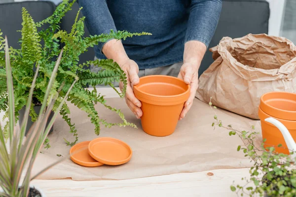 A male gardener transplants home plants into ceramic pots. The concept of home gardening and interior decoration with home flowers.