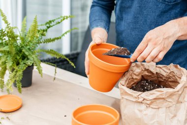 A male gardener transplants home plants into ceramic pots. The concept of home gardening and interior decoration with home flowers. 