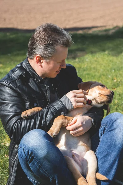 Man Plays Hugs His Cute Labrador Retriever Puppy Walks Fun — Photo