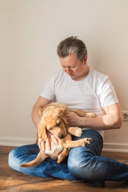 A young man trains a labrador retriever puppy at home. Animal friendship and care.