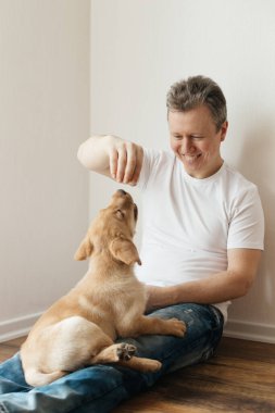 Young man playing with labrador retriever puppy at home. Games with pets. Animal friendship and care.