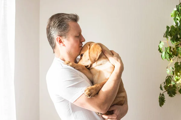Young Man Hugging His Labrador Retriever Puppy Concept Friendship Dog — Stok fotoğraf