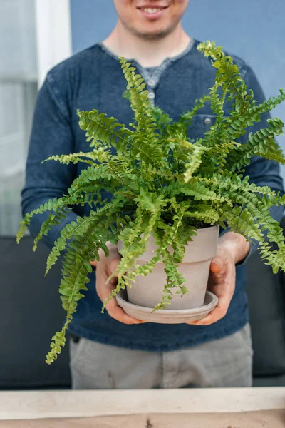 Male Gardener Holds Indoor Fern Clay Pot His Hands Transplanting — Stock Fotó