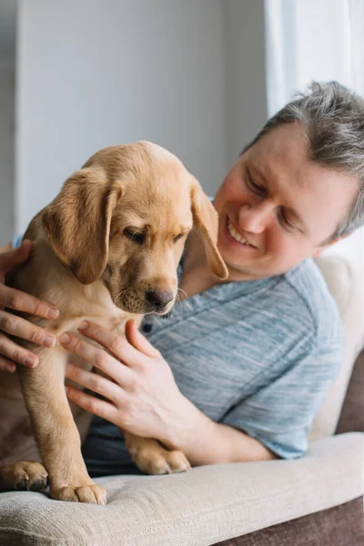 Young Man Plays Labrador Retriever Puppy Sits Armchair Hugs Dog — 图库照片