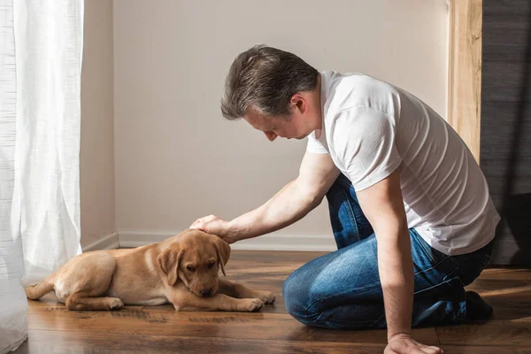 Young man playing with labrador retriever puppy at home. Games with pets. Animal friendship and care.