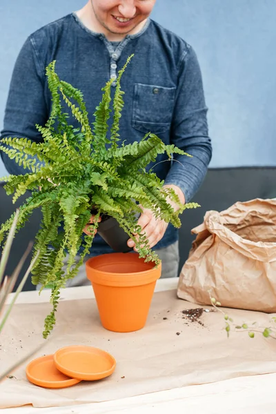 Young Male Florist Gardener Transplants Homemade Fern Clay Pot Hobbies — Foto Stock
