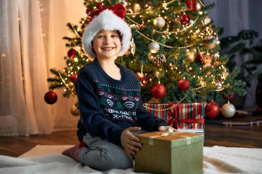 Noel Baba şapkalı mutlu bir çocuk çelenklerdeki bir Noel ağacının yanında Noel hediyesi olan bir kutuyu açar. Mutlu yıllar ve Noel tatili. 