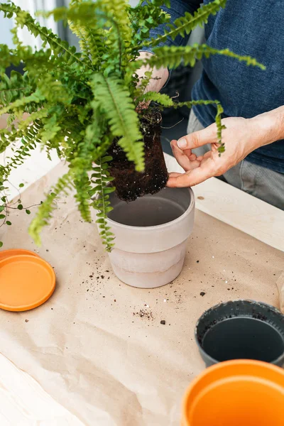 Man Holds Terracotta Clay Pot His Hands Transplanting Houseplants Landscaping — Foto Stock