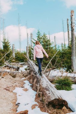Kız Bahar Ormanı 'nda yürüyüş yapmakla meşgul. Spor ve açık hava aktiviteleri. Sağlıklı yaşam tarzı.
