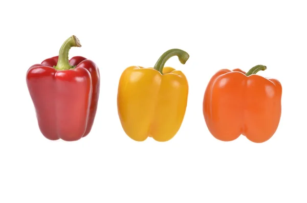 Paprika — Stockfoto